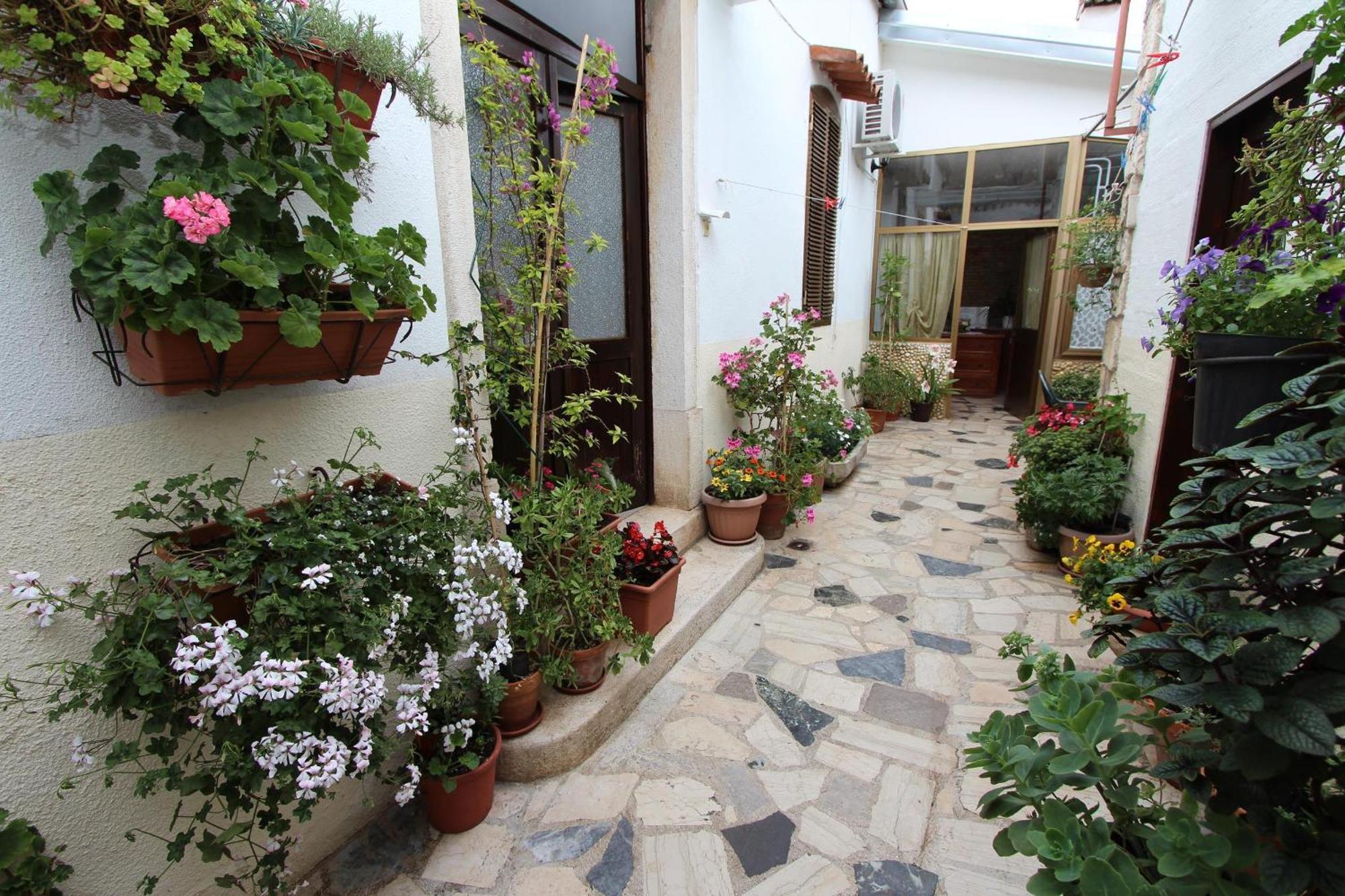 Apartment Riki